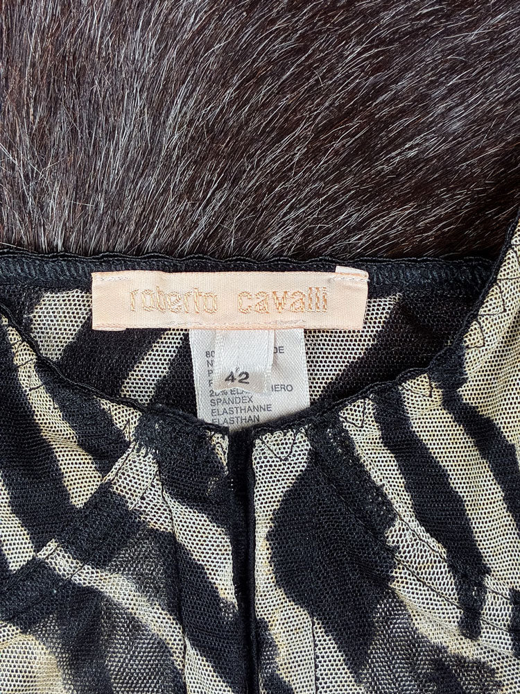 Roberto Cavalli 2000s Zebra Mesh Corset Top
